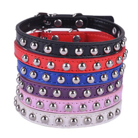 Obroża wzór z okrągłymi nitami ćwiekami piesek szczeniak kotek