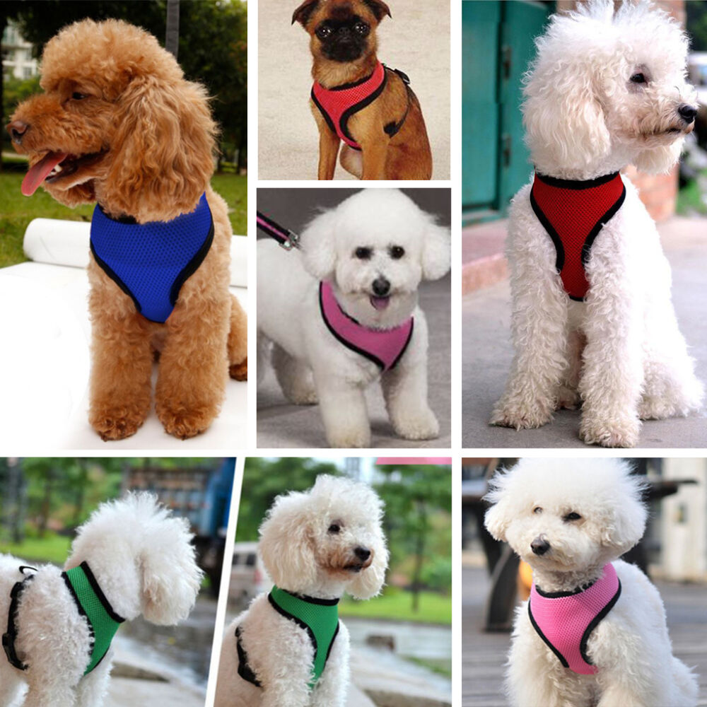 Miękkie szelki oddychające puszorek oddychający kolorowe szeleczki dla psa dla kota królika czarne różowe czerwone fioletowe żółte szeleczki zielone niebieskie rozmiary rozmiar XSS M L XL