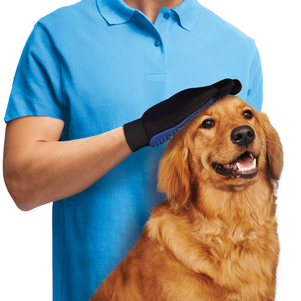 Grooming czesanie masaż Koń Kot długowłose lokowana sierść kręcony włos podczas głaskania zgrzebło Labrador Golden Seter Owczarek