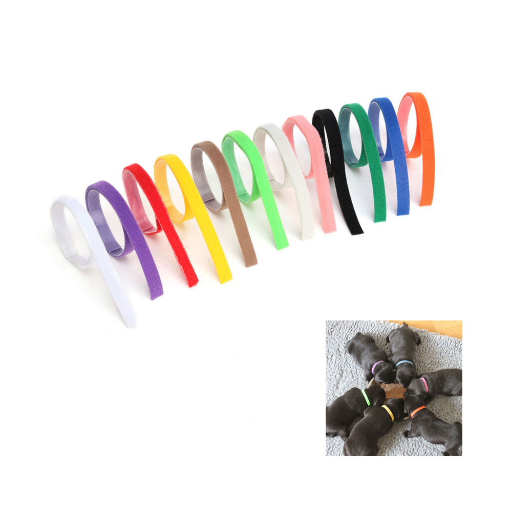 Obroże do znakowania szczeniaków szczeniąt kotków kociąt od pierwszego dnia życia bezpieczne kolorowe velcro dla hodowcy komplet zestaw tani tanio wielokrotnego użytku