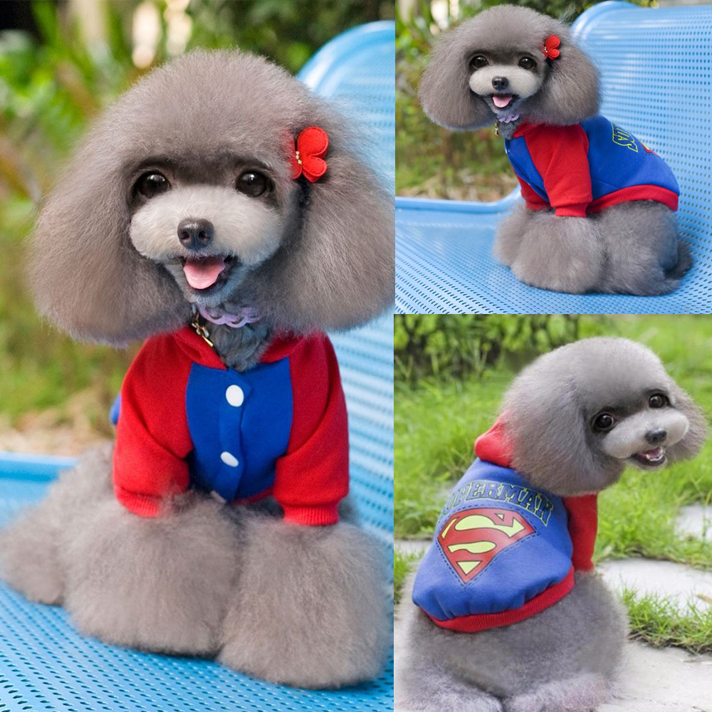 Ubranko ubranie bluza dla psa kota z kapturem zapinana na zatrzaski napy na brzuszku niebieska z rękawkami ocieplana dresowa Superman na piesku