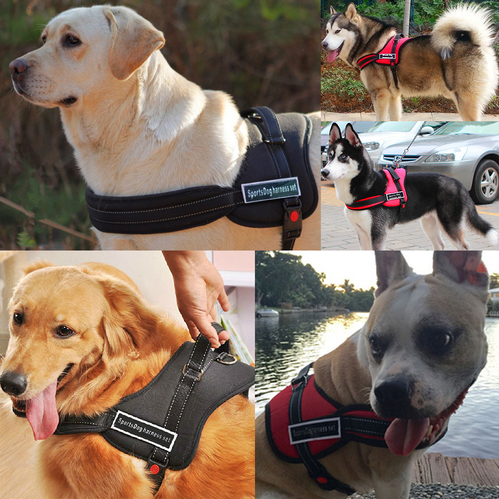 Szelki norweskie duże szelki dla psa odblaskowe regulowane mocne rozmiar S M L XL czarne czerwone niebieskie husky spaniel amstaf golden