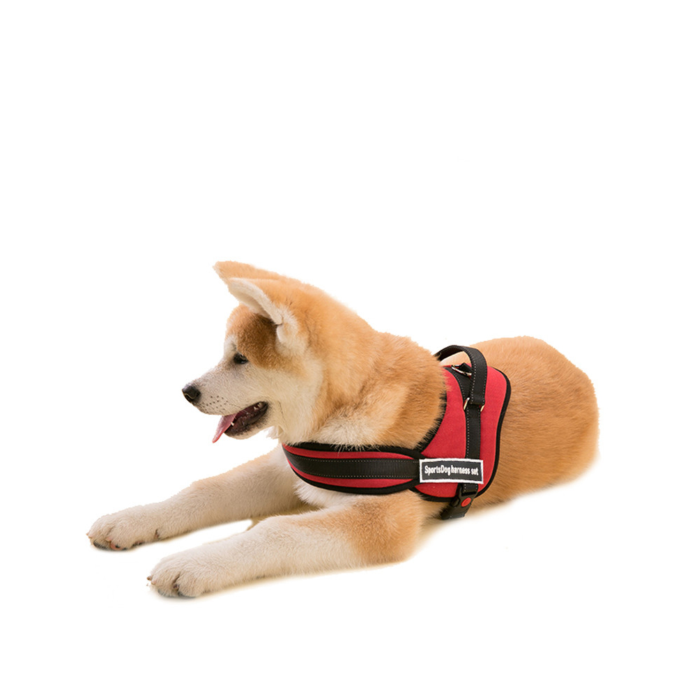 Szelki norweskie duże szelki dla psa odblaskowe regulowane mocne rozmiar S M L XL czarne czerwone niebieskie na piesku