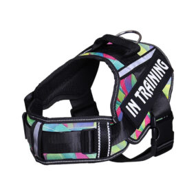 Kolorowe szelki treningowe dla psa,, Szelki treningowe dla psa, multikolor, In training, w szkoleniu, taktyczne, kolorowe szelki sportowe dla psa, wielokolorowe, odblaskowe