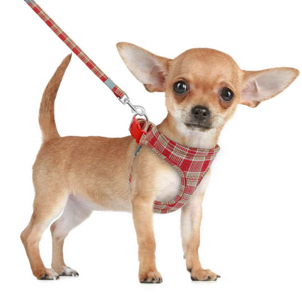 Komplet szelki ze smyczą w jednym kolorze szelki smycz step in ocieplane gąbką bawełniane ze zmiękczaną rączką z odblaskiem odblask z bawełny czerwone w szkocką kratkę w kratę