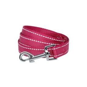Ciemnoróżowa smycz odblaskowa, różowa, smycz klasyczna z odblaskowymi przeszyciami, colori reflective, odblask, 150cm, 15cm, 2cm, 2,5cm, fuksja