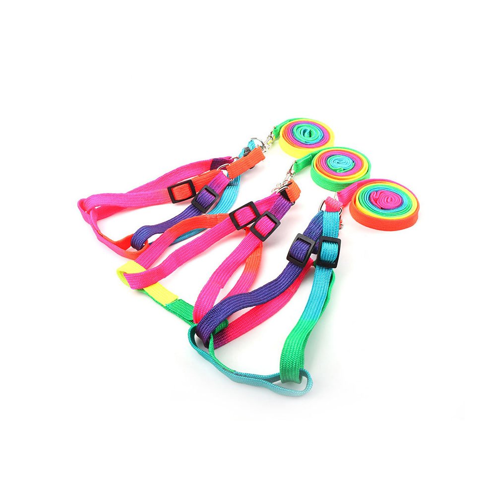 Tęczowe szelki step-in ze smyczą 120 cm, smycz 1cm, szelki typu guard dla kota, puszorek dla pieska, psa, kolorowe, szeleczki dla szczeniaka, szczeniaczka, wyprawka, komplet spacerowy na wyprawkę