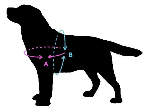 AniCani jak mierzyc psa szelki norweskie &ndash; AniCani.pl