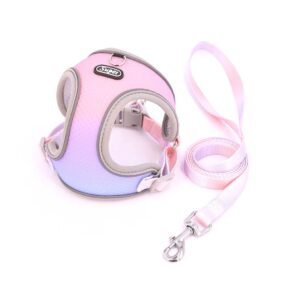 Szelki ombre różowofioletowy odblaskowe komplet ze smyczą, tęczowe szelki dla kota, kotka, pieska, zestaw szelki ze smyczą