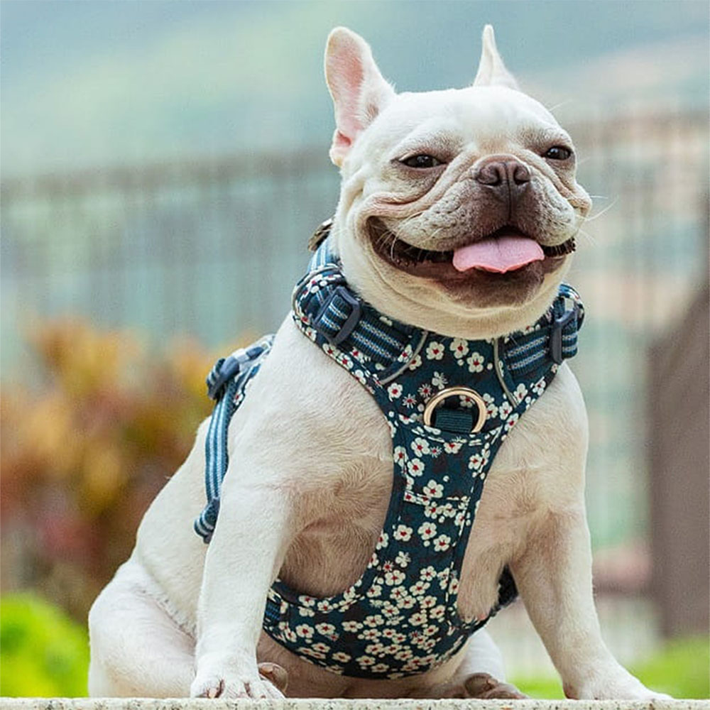 Szelki Truelove Blossom dla psa, granatowe w kwiaty, miękko podszyte, idealne dla psów krótkowłosych