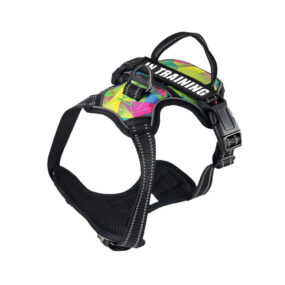 Szelki guard dla psa multikolor, kolorowe szelki dla psa z naszywką in training, podczas szkolenia, wielokolorowe szelki