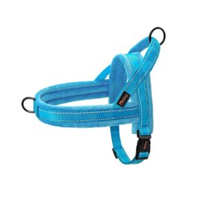 Szelki easy walk wyściełane minky Didog, błękitny, z miękkim podszyciem, wyściełane polarem, odblaskowe szelki dla psa, norweskie niebieskie
