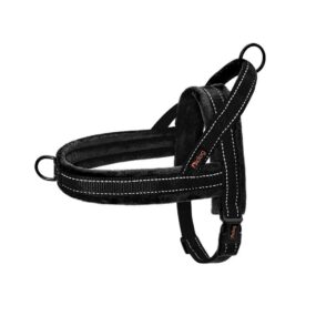 Szelki easy walk z miękkim podszyciem Didog czarny, wyściełane polarem minky, odblaskowe, norweskie, czarne, dla buldożka francuskiego