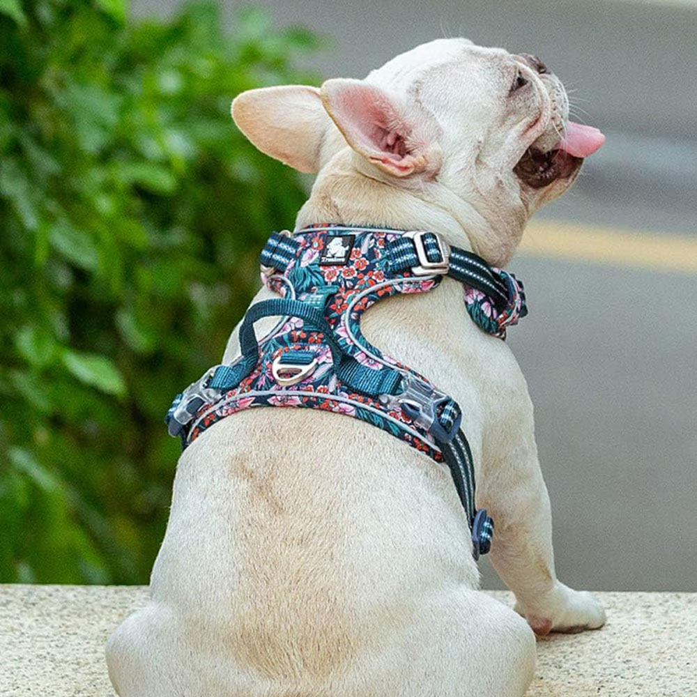 Szelki w kwiaty Truelove, Floral, Blossom Premium, granatowo-czerwone