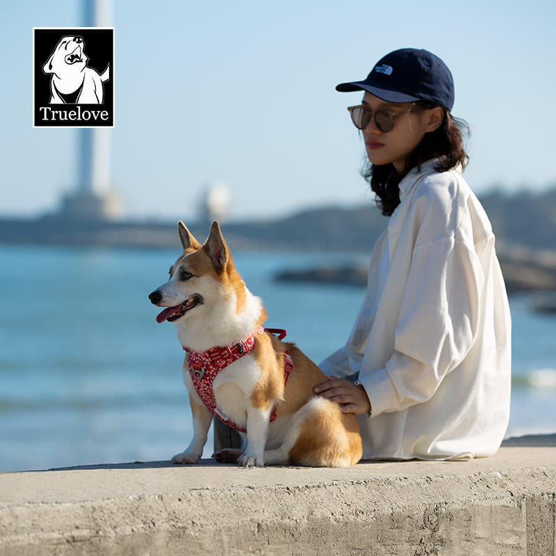 Szelki Truelove Blossom Premium, czerwono-białe, wzmocnione, czerwone w białe kwiaty na Corgim