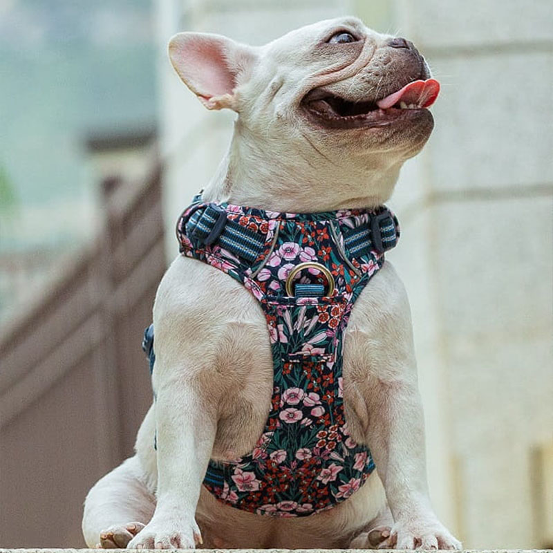 Szelki Truelove Blossom Premium, granatowo-czerwone, mocne, czerwone i różowe kwiaty Buldog